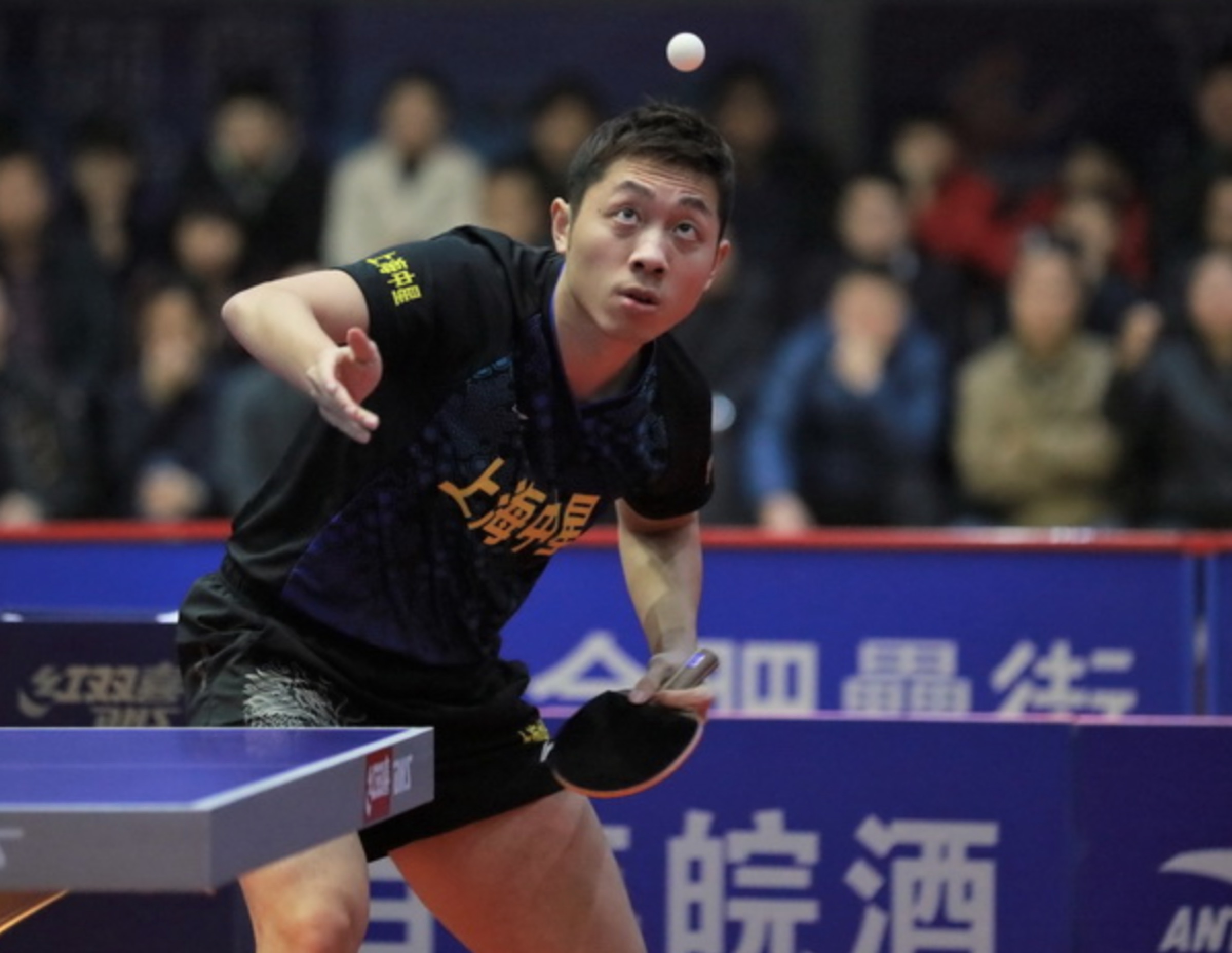 瑞典乒乓球队强势波兰乒乓球队，许昕打破历史纪录