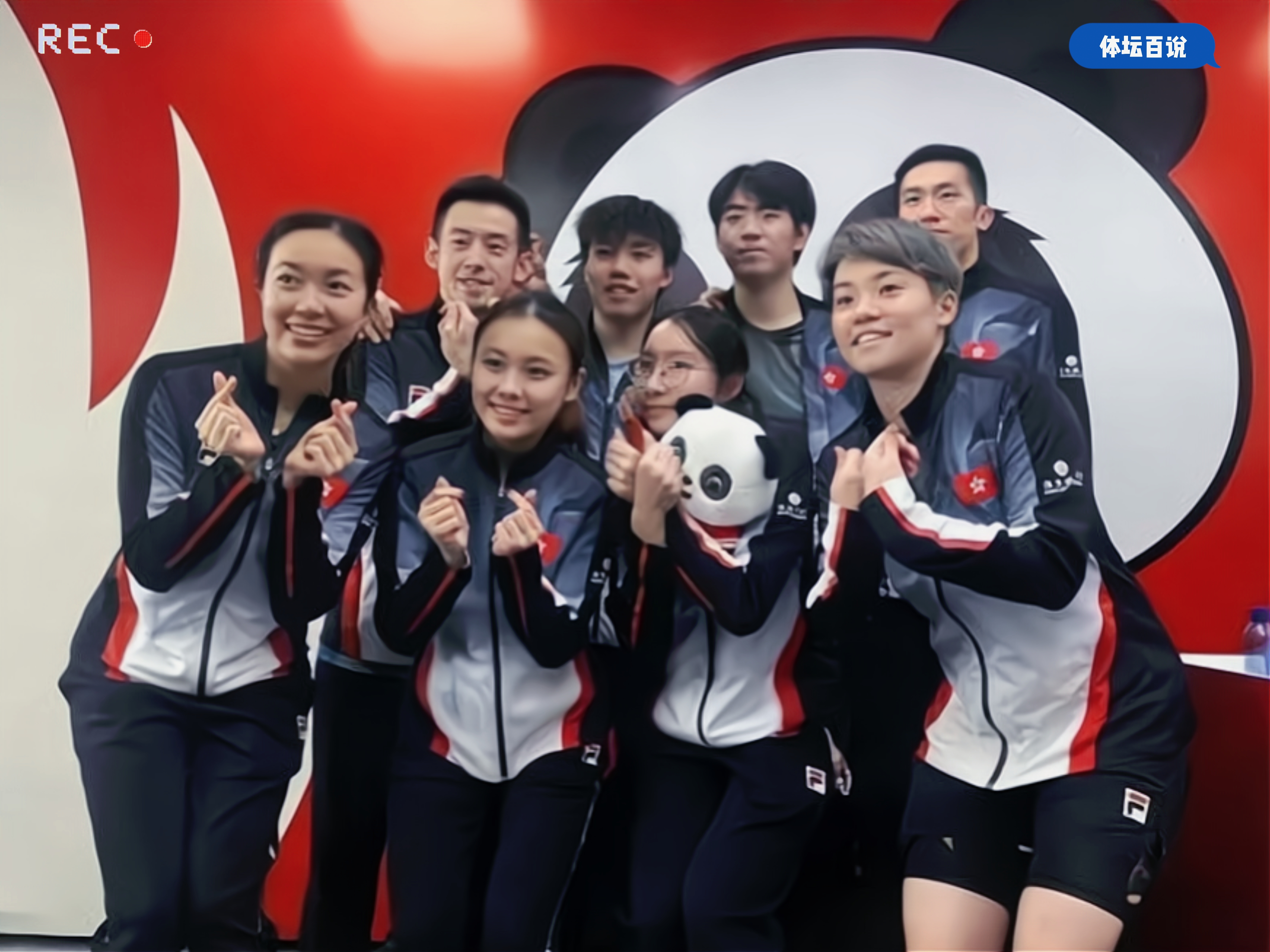 关于比利时乒乓球队逆转日本乒乓球队，波尔三分雨点燃全场的信息