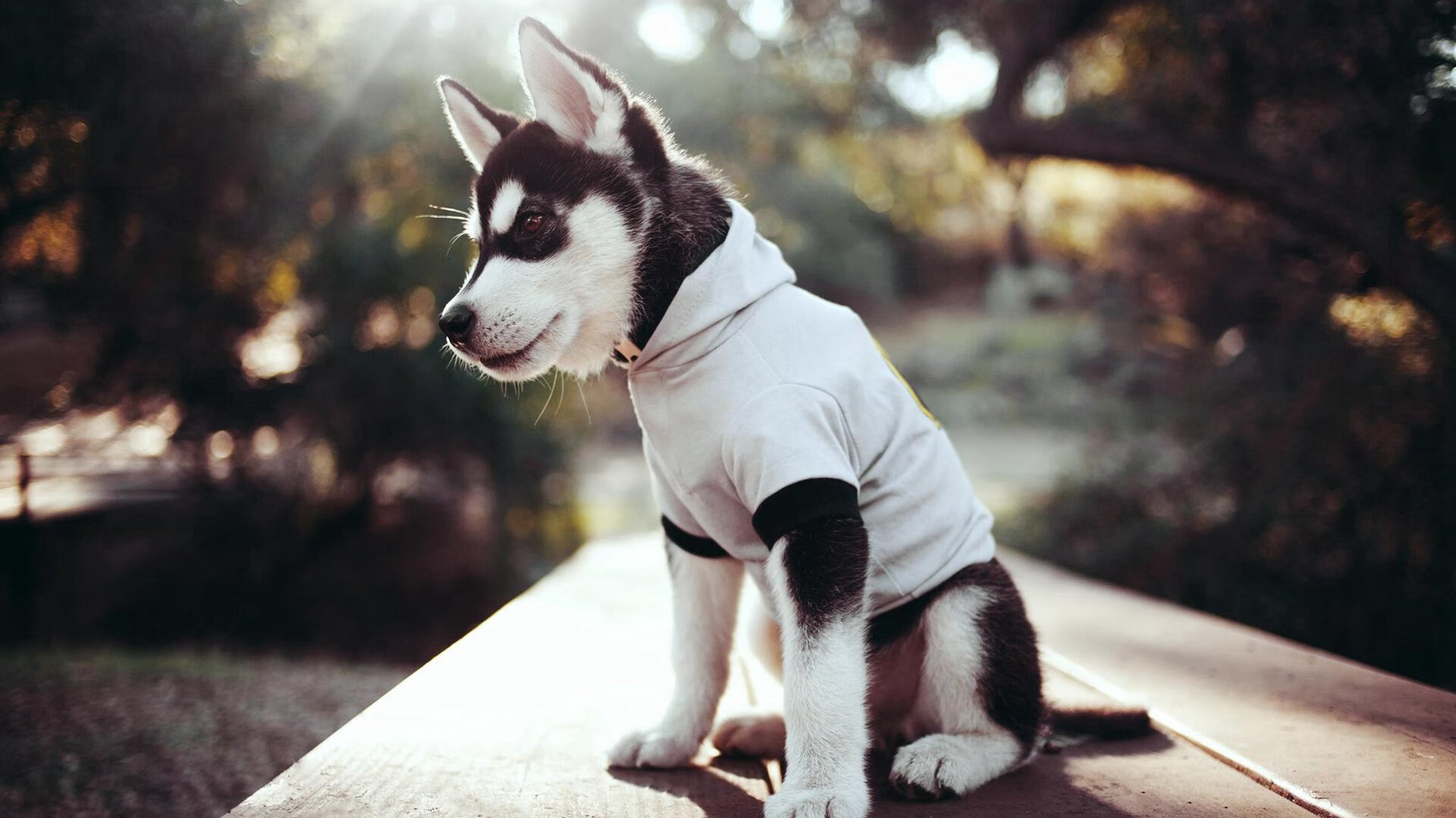 巨浪与星光，泰国队险胜德国队与戴资颖的高光时刻