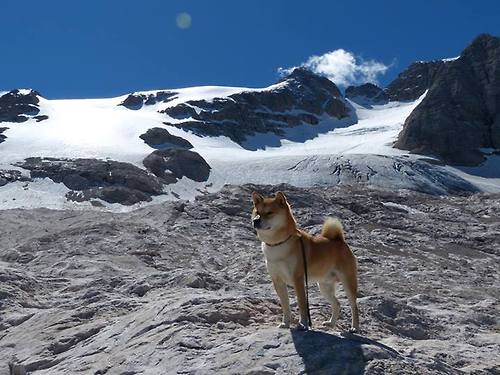 爱游戏娱乐-绝地逆转的平行宇宙，从华沙到多哈