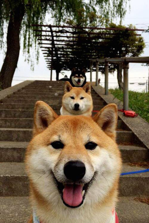 德罗赞再演关键先生 掘金4-0横扫魔术展王者之姿