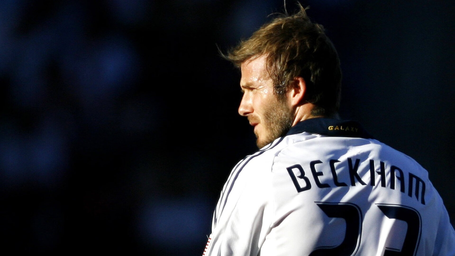 当约基奇升起，太阳与黄蜂之战中的无形主宰