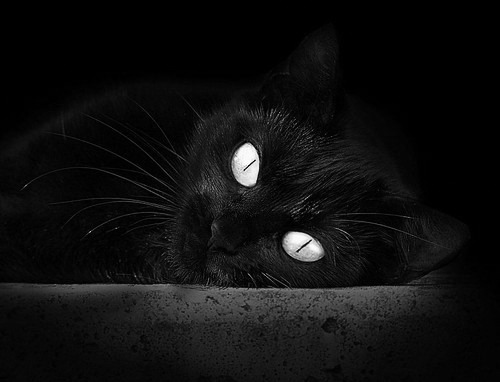 当吉林队的铁链缠上布鲁克林的翅膀，小贾伦用无解进攻写下悖论诗篇