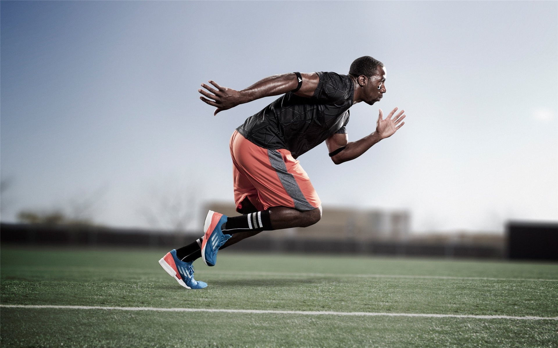 独舞的橙色火焰，加克波的生涯之夜，如何重新点亮郁金香的荣光