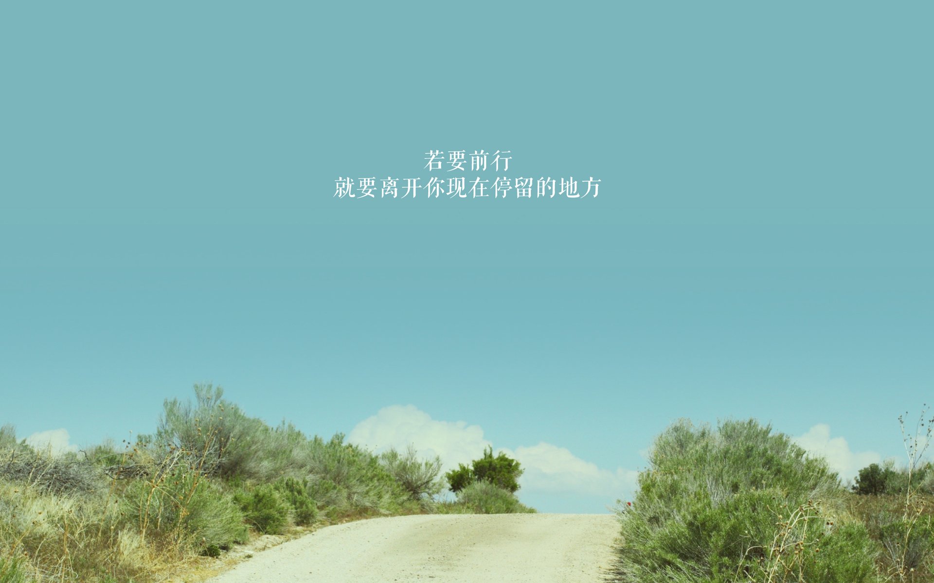 绿茵霸权,2026世界杯H组焦点战,桑巴军团铁幕压制,坎塞洛一人定义比赛格局