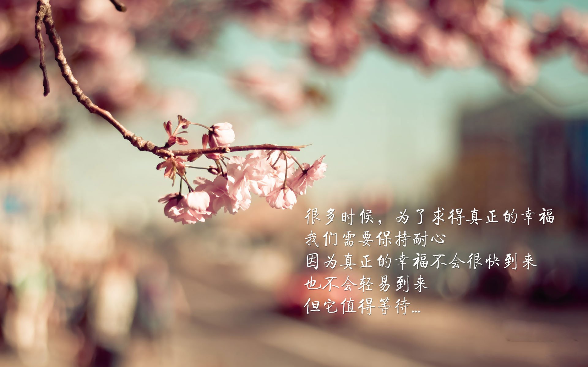 猎鹰的闪电，2026世界杯C组关键战，匈牙利如何用快速反击刺穿喀麦隆，塔雷米领衔一击致命