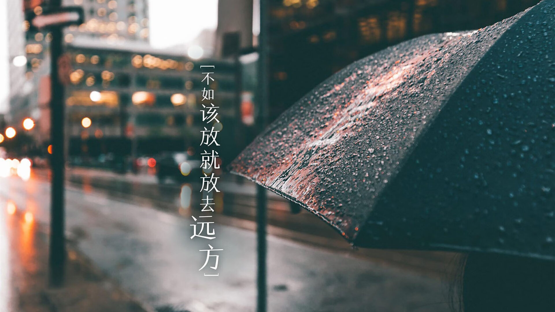 孤星逐日，2026世界杯D组，厄瓜多尔与葡萄牙的宿命之战，穆西亚拉如何撕碎平衡