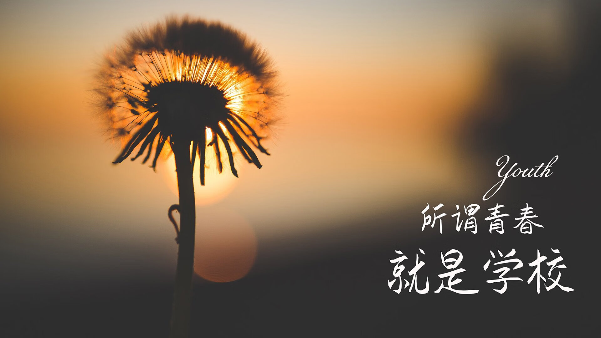 唯一之夜,当哈兰德在印度与突尼斯的揭幕战中重新定义世界杯