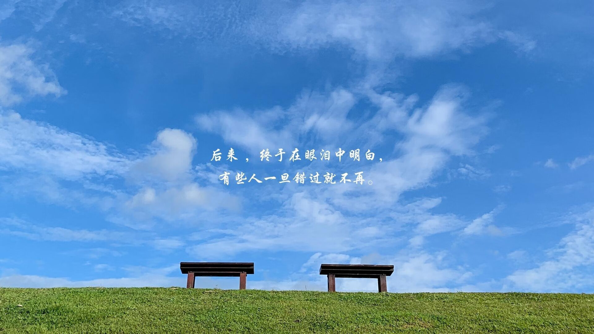 橙色风暴中的孤勇者,2026世界杯D组,荷兰险胜罗马尼亚,塔雷米用一己之力点燃冷门之光