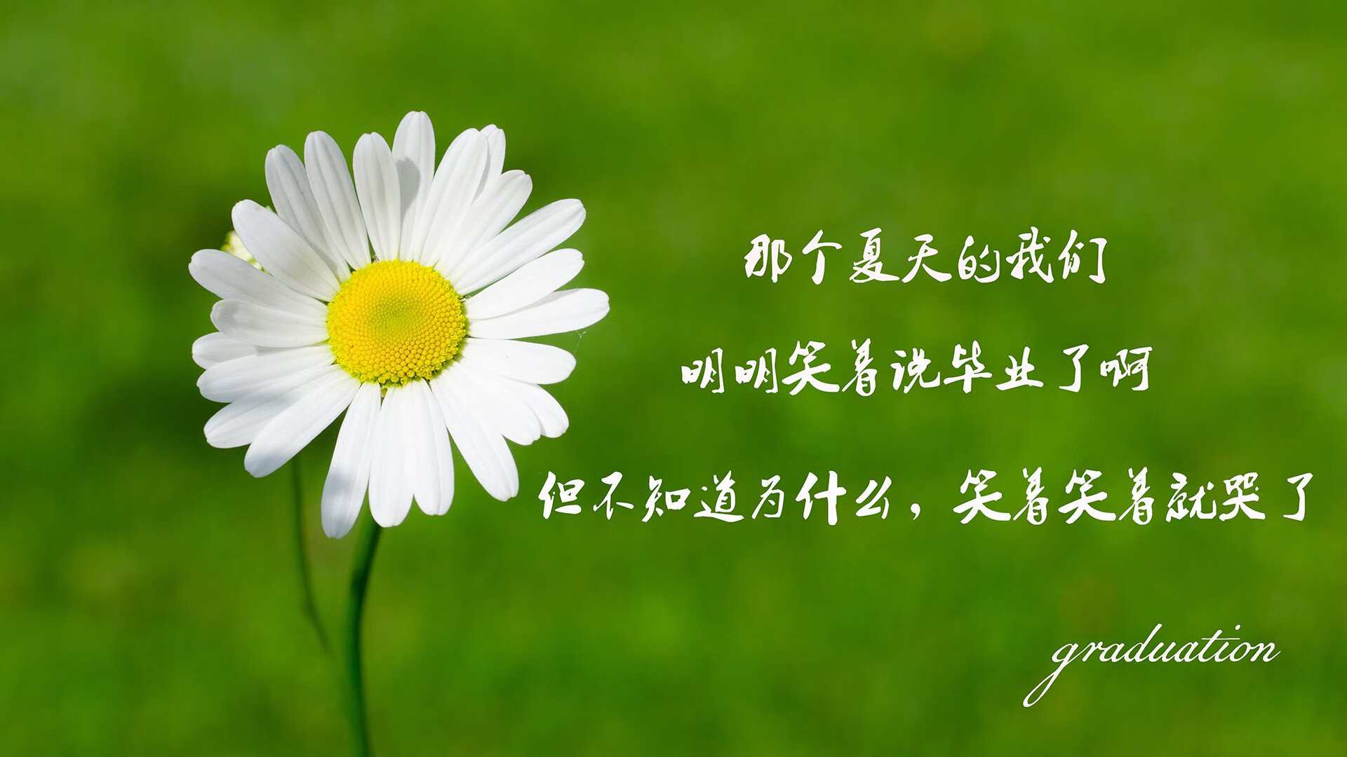 北境之光,美加墨世界杯焦点战中的拉什福德时刻—当枫叶旗与童话王国在绿茵场上碰撞